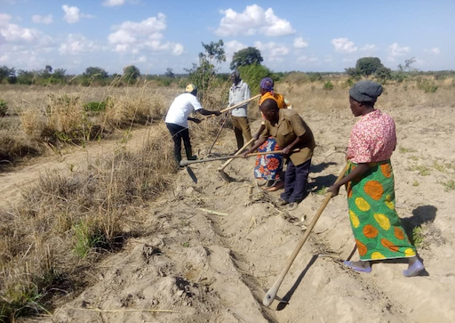 Update on project to boost crop production and strengthen communities in Malawi