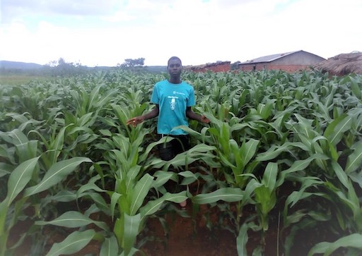 Inspiring a new generation of sustainable farmers in Malawi